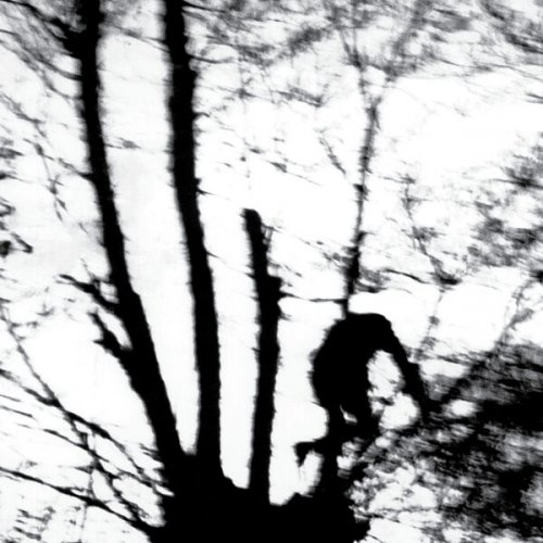 Cindytalk - Camouflage Heart (2025) [Hi-Res]
