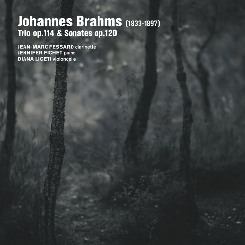 Jean-Marc Fessard, Jennifer Fichet - Brahms: Trio Op. 114, Sonates Op. 120 (2025) [Hi-Res]