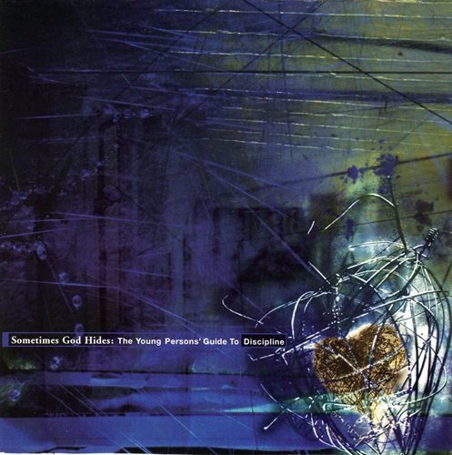 Various Artist - Sometimes God Hides: The Young Person's Guide To (1996)