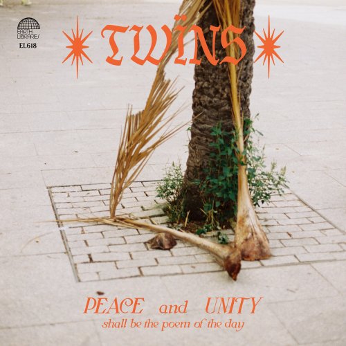 Twins - Healing Dreams (2025)