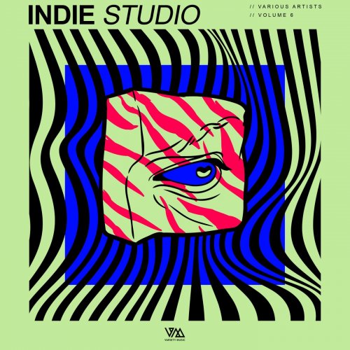 VA - Indie Studio Vol. 6 (2025)