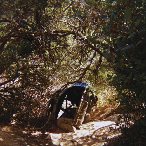 Ty Segall - Possession (2025)