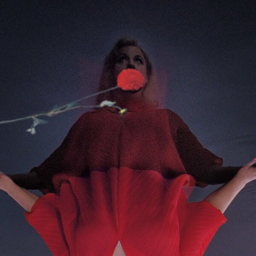 Amy Millan - I Went To Find You (2025) [Hi-Res]