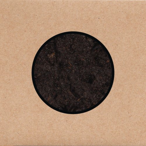 Swans - Birthing (2025) [Hi-Res]