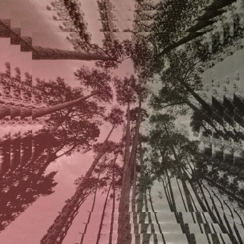Liam Finn - The Howl (2025) [Hi-Res]