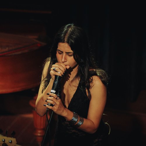 Shreya Bajpai - Subtle Elixir (Live at the Pianoman) (2025) [Hi-Res]