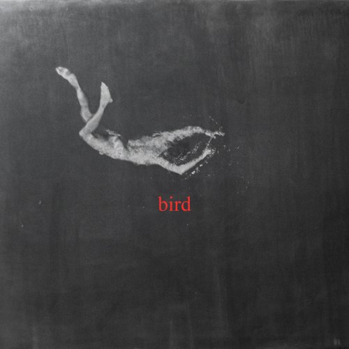 Low Island - bird (2025) Hi Res