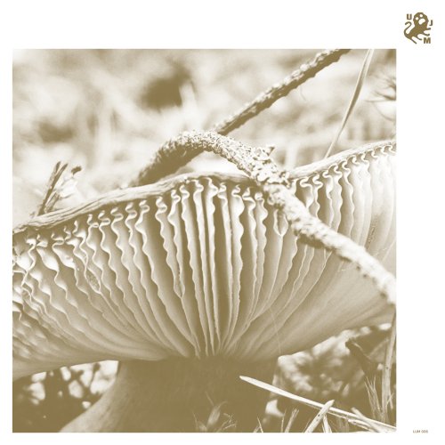 Late Night Poems, Eskaubei - Rise & Bloom (2025) Hi Res