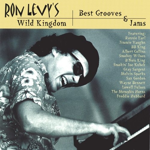 Ron Levy - Best Grooves & Jams (2003)