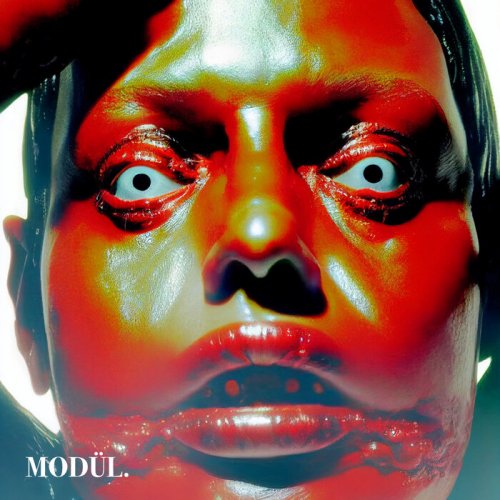 VA - MODUL. VA 002 (2025)