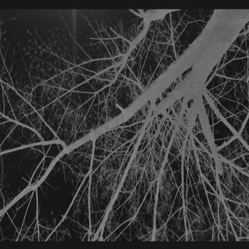 Eric Sublett - One Hundred Billion Galaxies (2025) Hi-Res