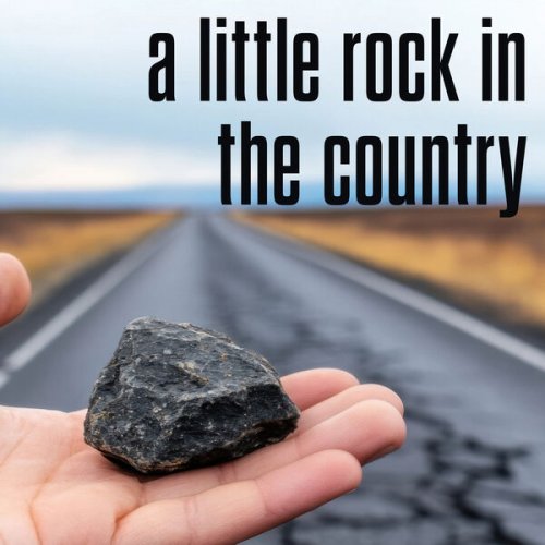 VA - a little rock in the country (2025)