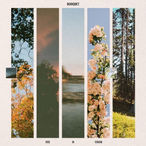 Bouquet - Feel in Color EP (2025) [Hi-Res]
