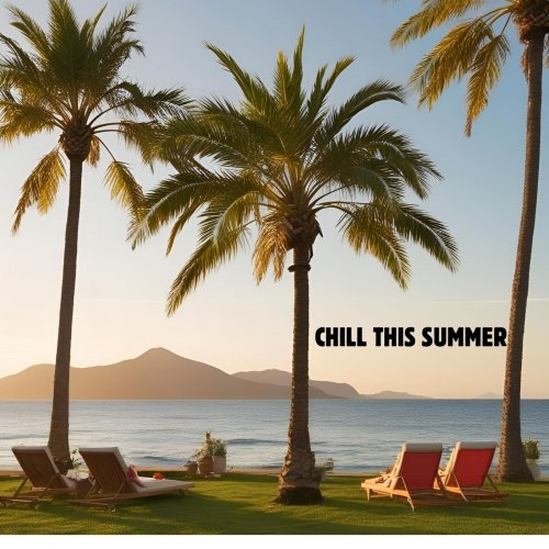VA - Chill This Summer (2025)