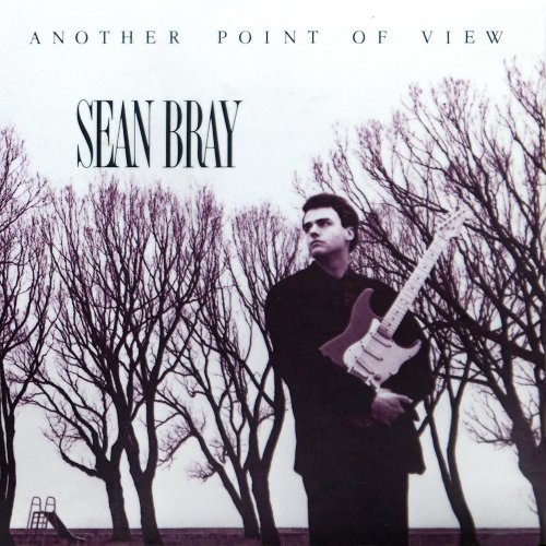 Sean Bray - Another Point Of View (2025)