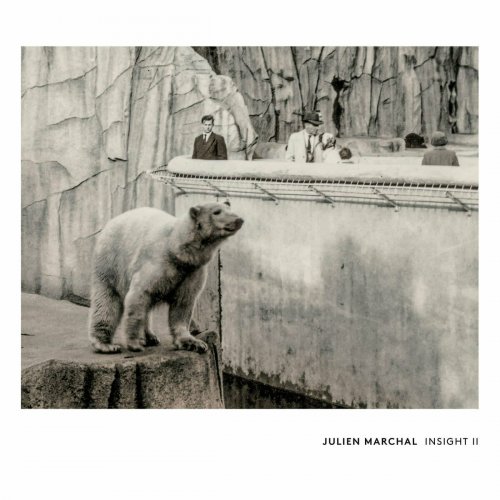 Julien Marchal - INSIGHT II (2016)