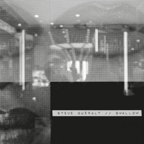 Steve Queralt - Swallow (2025) [Hi-Res]