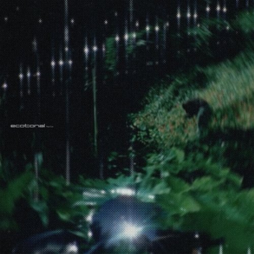 Paul Cut - Ecotonal (2025)
