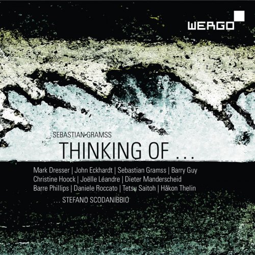 VA - Gramss, Dresser, Eckhardt, Guy, Hoock, Léandre, Phillips, Roccato, Saitoh, Thelin & Scodanibbio: Thinking of Stefano Scodanibbio (2015)