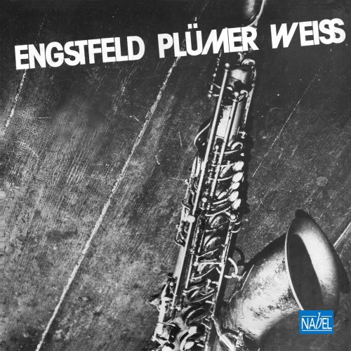 Wolfgang Engstfeld, Gunnar Plümer & Peter Weiss - Direct to Disc (Remaster 2025) (2025) Hi Res