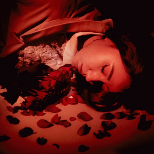 Coming Up Roses - How Did We Fall So Far? (2025)