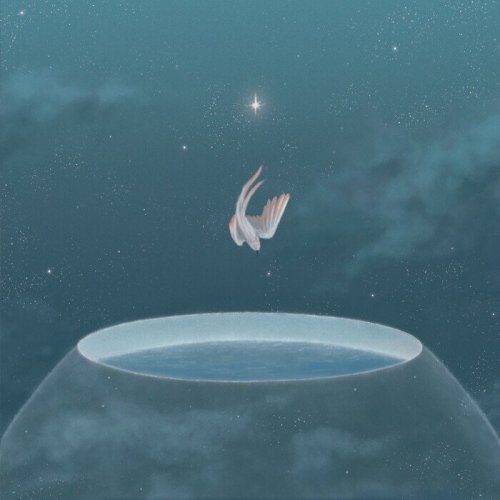 Rhucle - No Wind (2025)