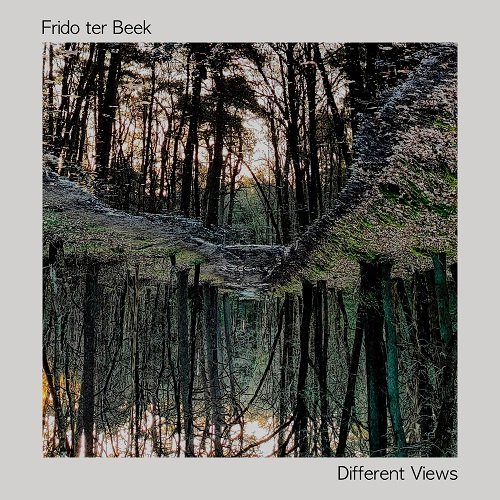 Frido Ter Beek - Different Views (2025) [Hi-Res]