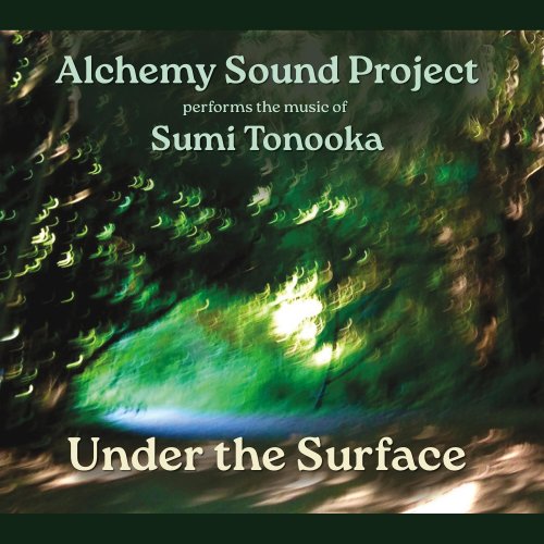 Sumi Tonooka - Under The Surface (2025) [Hi-Res]