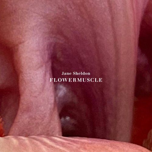 Jane Sheldon - flowermuscle (2025) [Hi-Res]