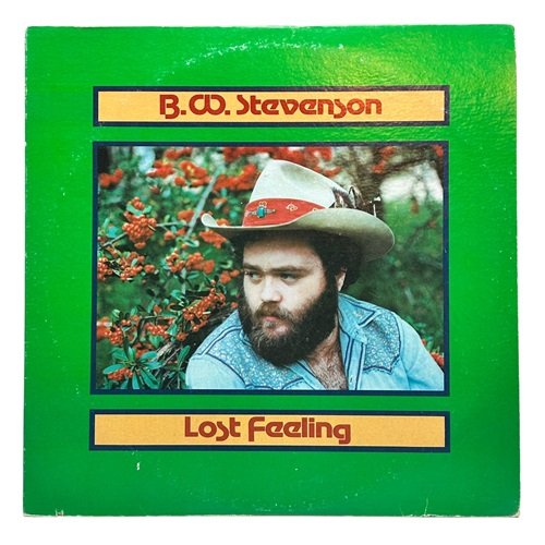 B.W. Stevenson - Lost Feeling (1977)