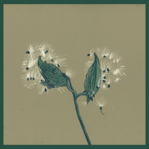 David Longstreth - Song Of The Earth - Instrumentals (2025) [Hi-Res]