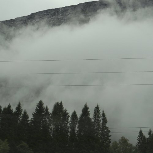 Julia Gjertsen, Gustav Davidsson - Wandering Mind, Drifting Weather (2025) [Hi-Res]