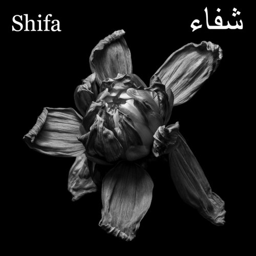 Shifa - Ecliptic (2025) [Hi-Res]