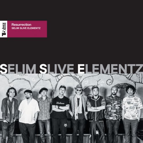 Selim Slive Elementz - Resurrection (Live) (2017) [Hi-Res]