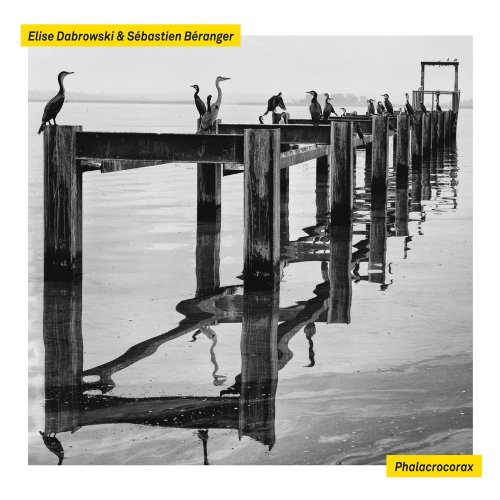 Elise Dabrowski & Sébastien Béranger - Phalacrocorax (2019)