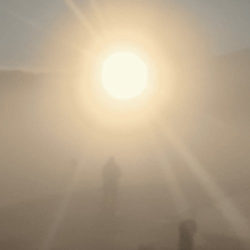 Florian T M Zeisig - A New Life (2025)