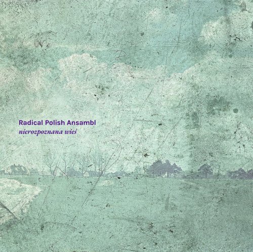 Radical Polish Ansambl - nierozpoznana wieś (2024) [Hi-Res]