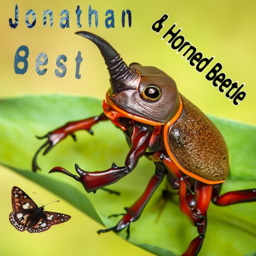 Jonathan Best - Horned Beetle (2025) Hi-Res