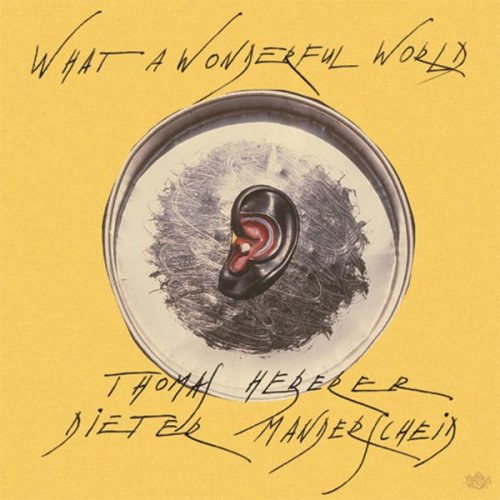 Thomas Heberer & Dieter Manderscheid - What A Wonderful World (2002)