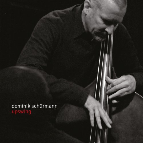 Dominik Schürmann - Upswing (2016)