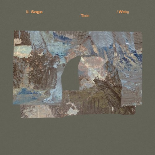M. Sage - Tender / Wading (2025) [Hi-Res]
