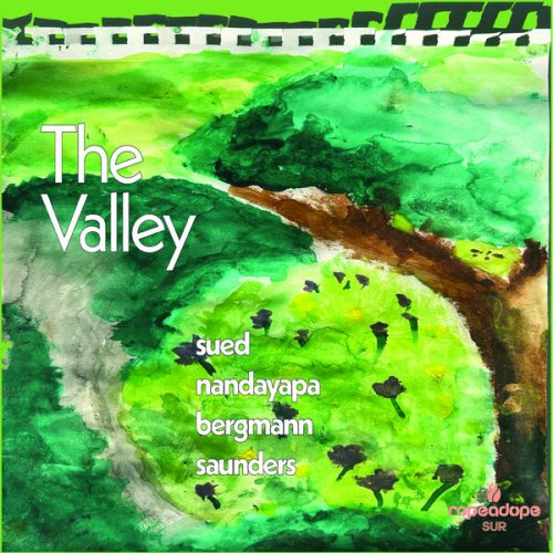 Sued Nandayapa Bergmann Saunders - The Valley (2025) [Hi-Res]