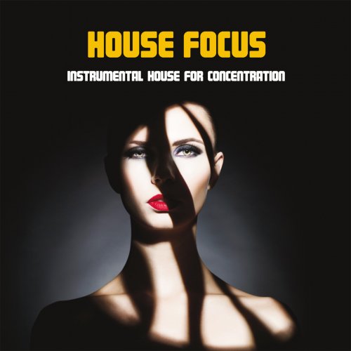 VA - House Focus (Instrumental House For Concentration) (2025)