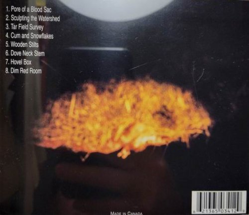 Fen - Surgical Transfusion of Molting Sensory Reflections (2000)