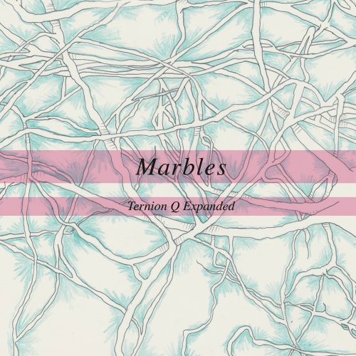 Anne Mette Iversen - Marbles (2025) [Hi-Res]