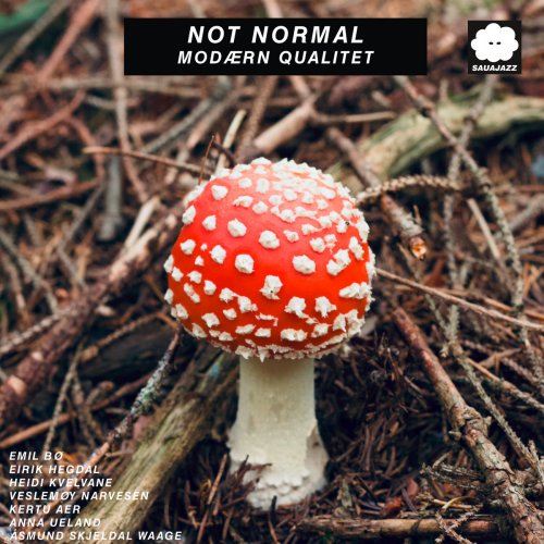 Not Normal, Emil Bø - Modærn Qualitet (2025) [Hi-Res]