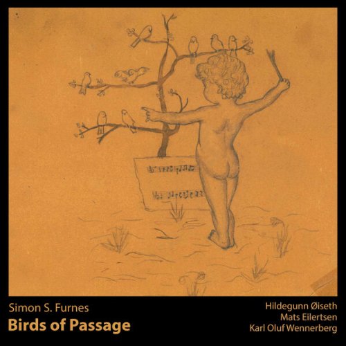 Simon S. Furnes - Birds of Passage (2025)