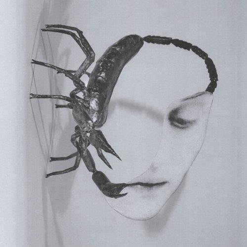 Tortoise - Touch (2025)