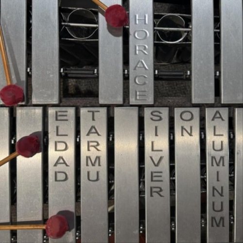 Eldad Tarmu - Silver on Aluminum (2025)