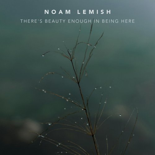 Noam Lemish - There's beauty enough in being here (2025) [Hi-Res]